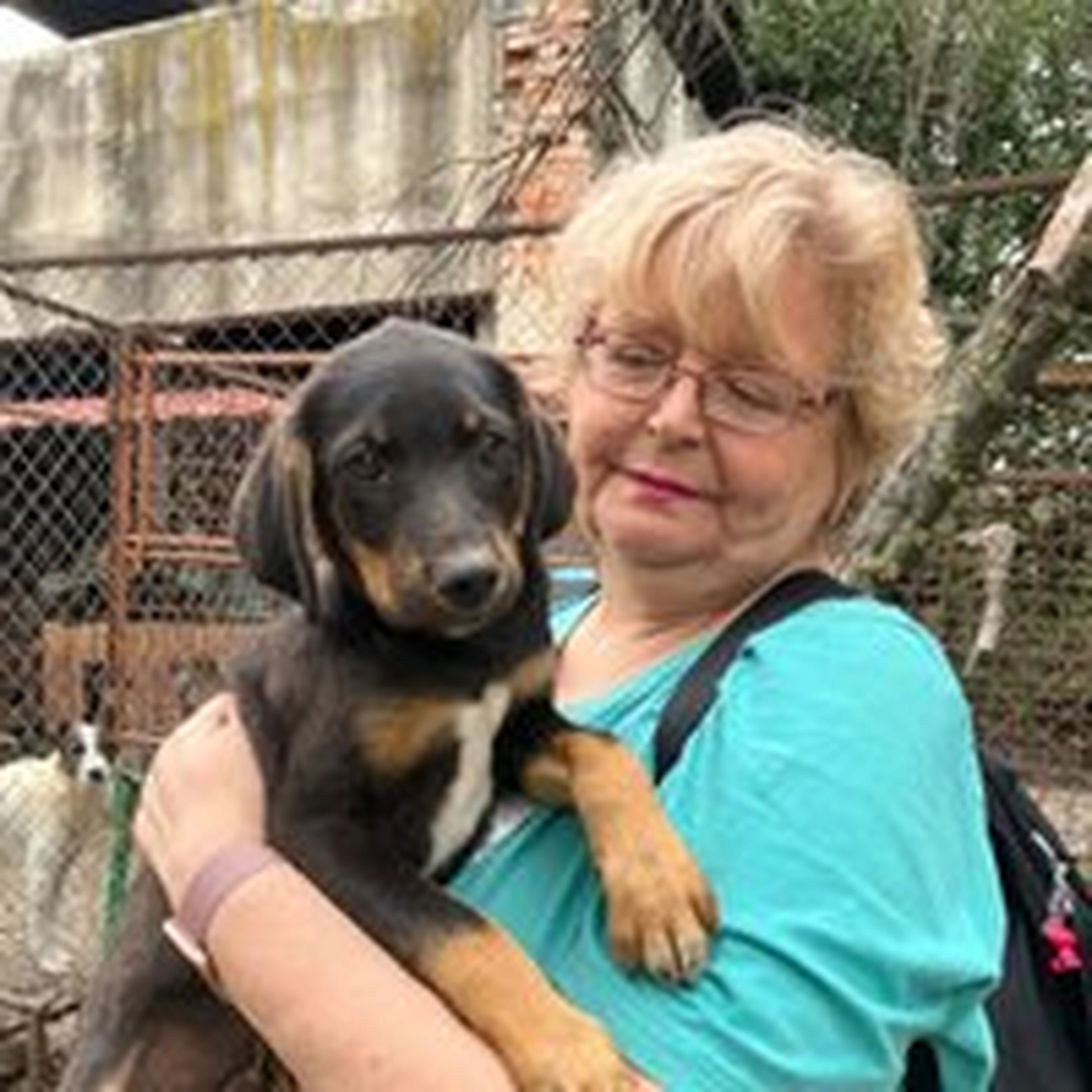Pro Animals Deutschland e.V. - Iris Dorresteijn-Westermeier