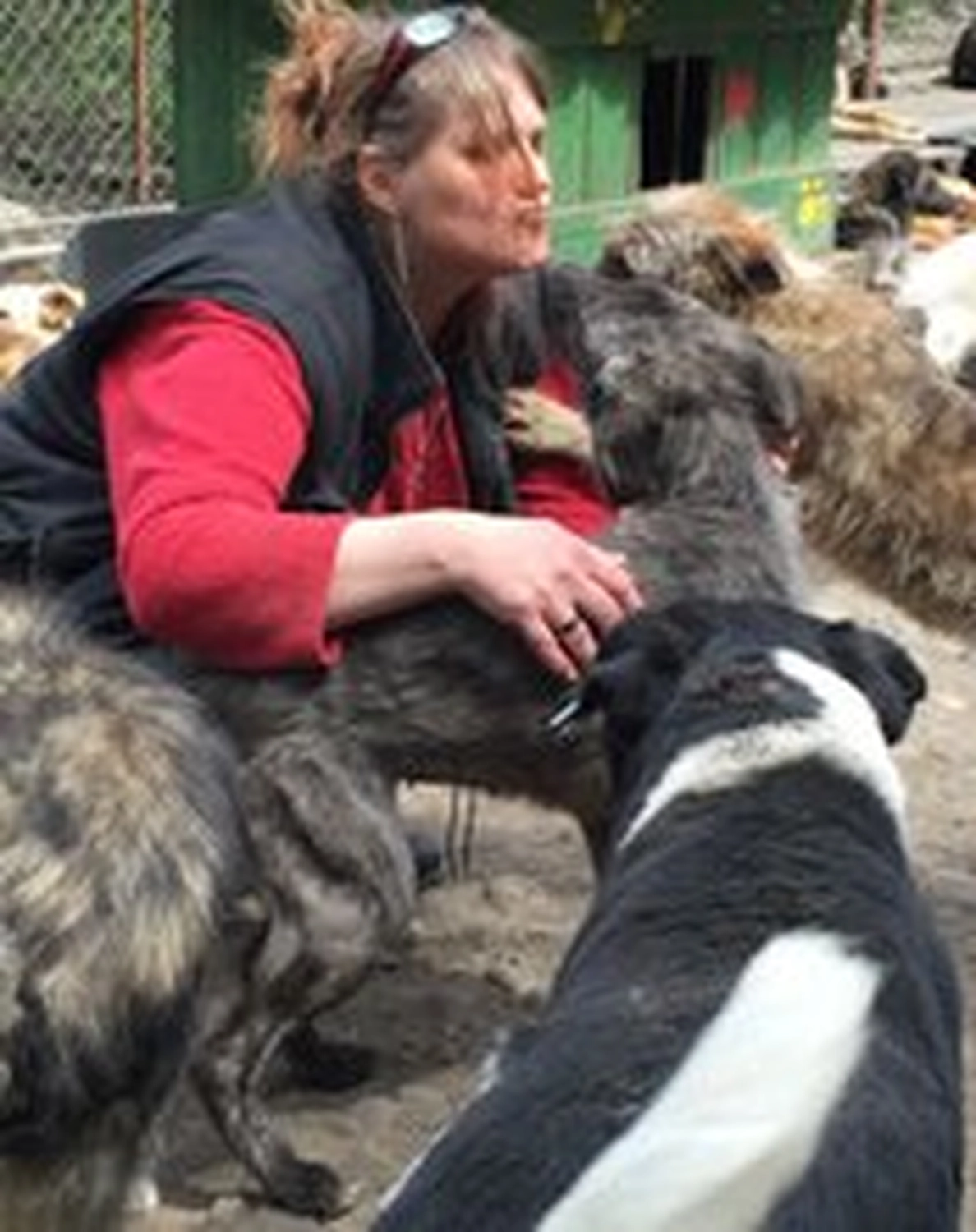 Pro Animals Deutschland e.V. - Cornelia Börner
