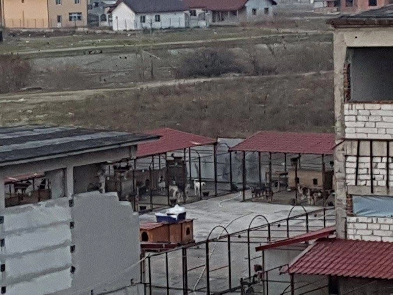 Pro Animals Deutschland e.V. – Tierheim