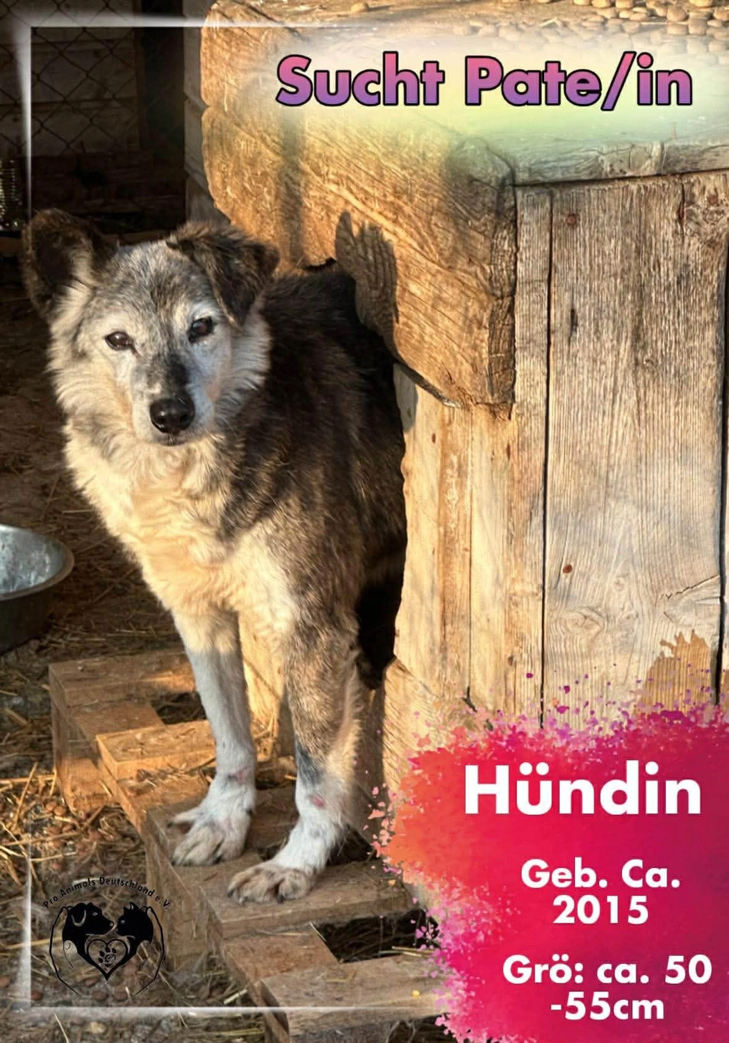 Pro Animals Deutschland e.V. – Pate gesucht