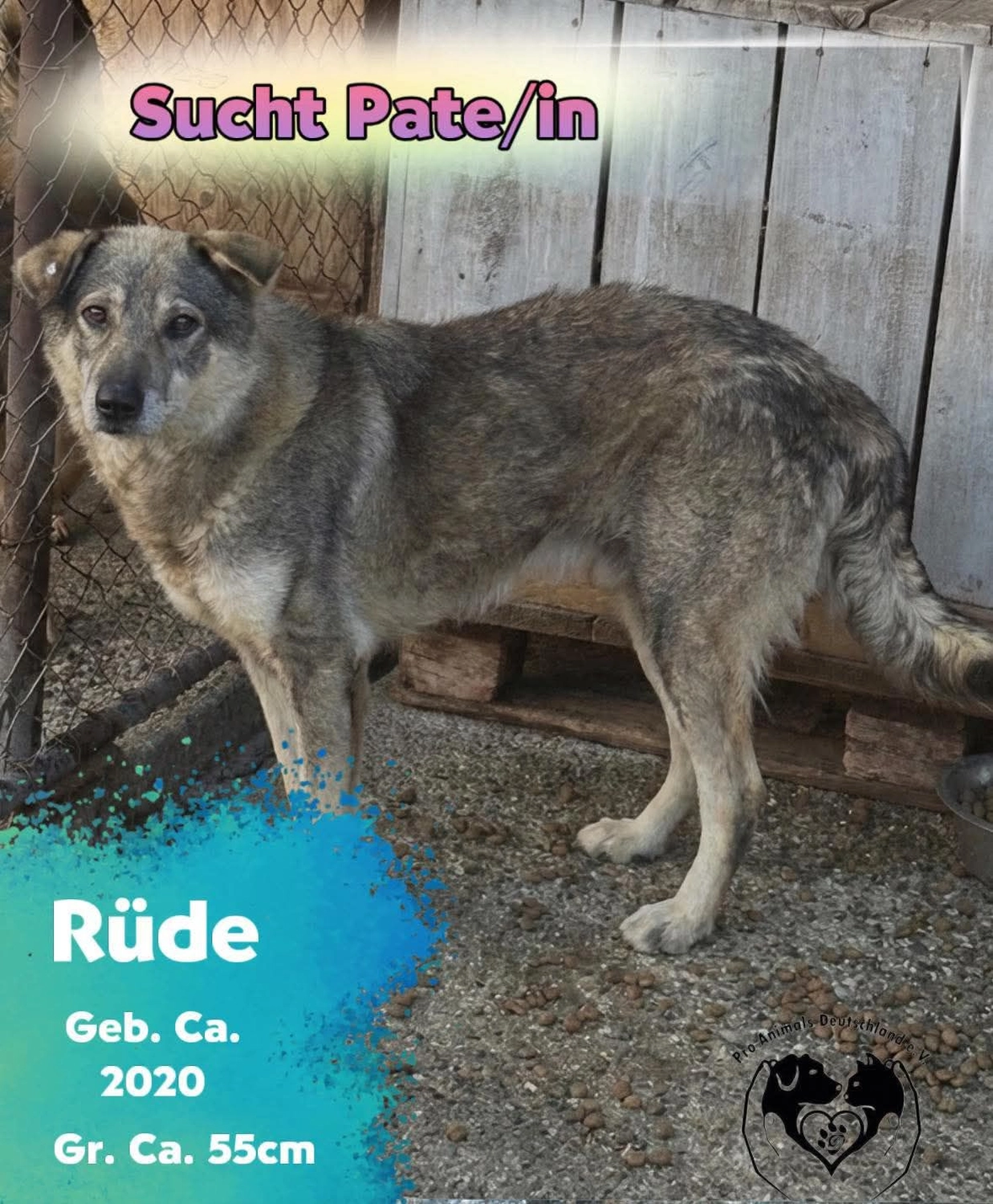 Pro Animals Deutschland e.V. – Pate gesucht