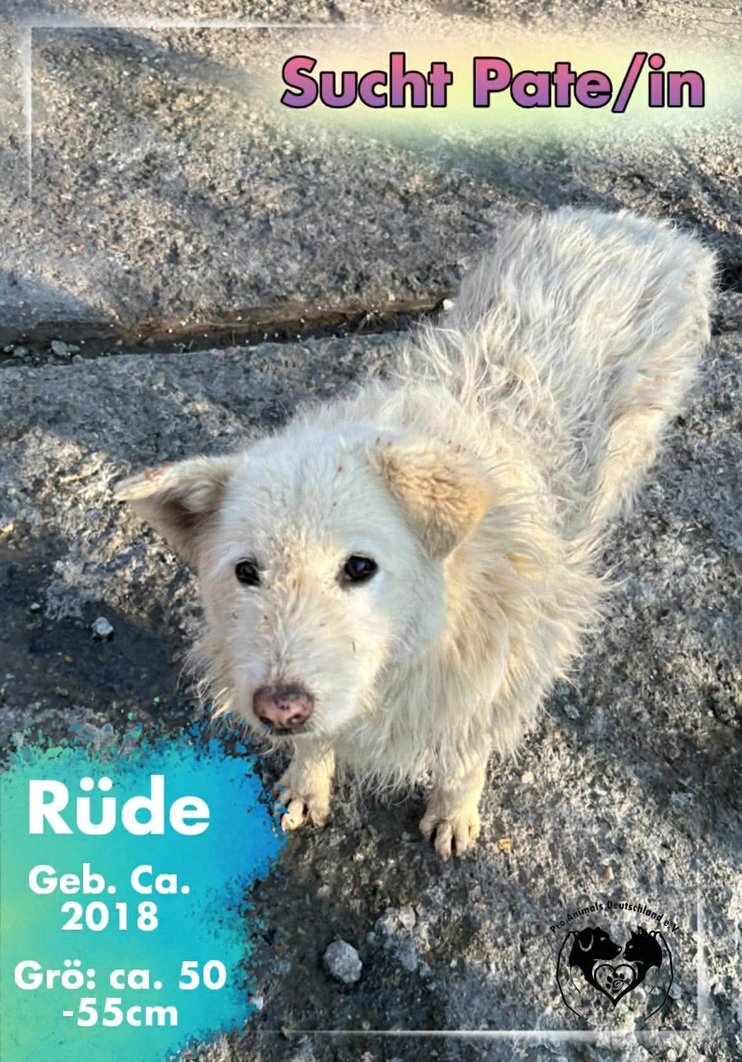 Pro Animals Deutschland e.V. – Pate gesucht