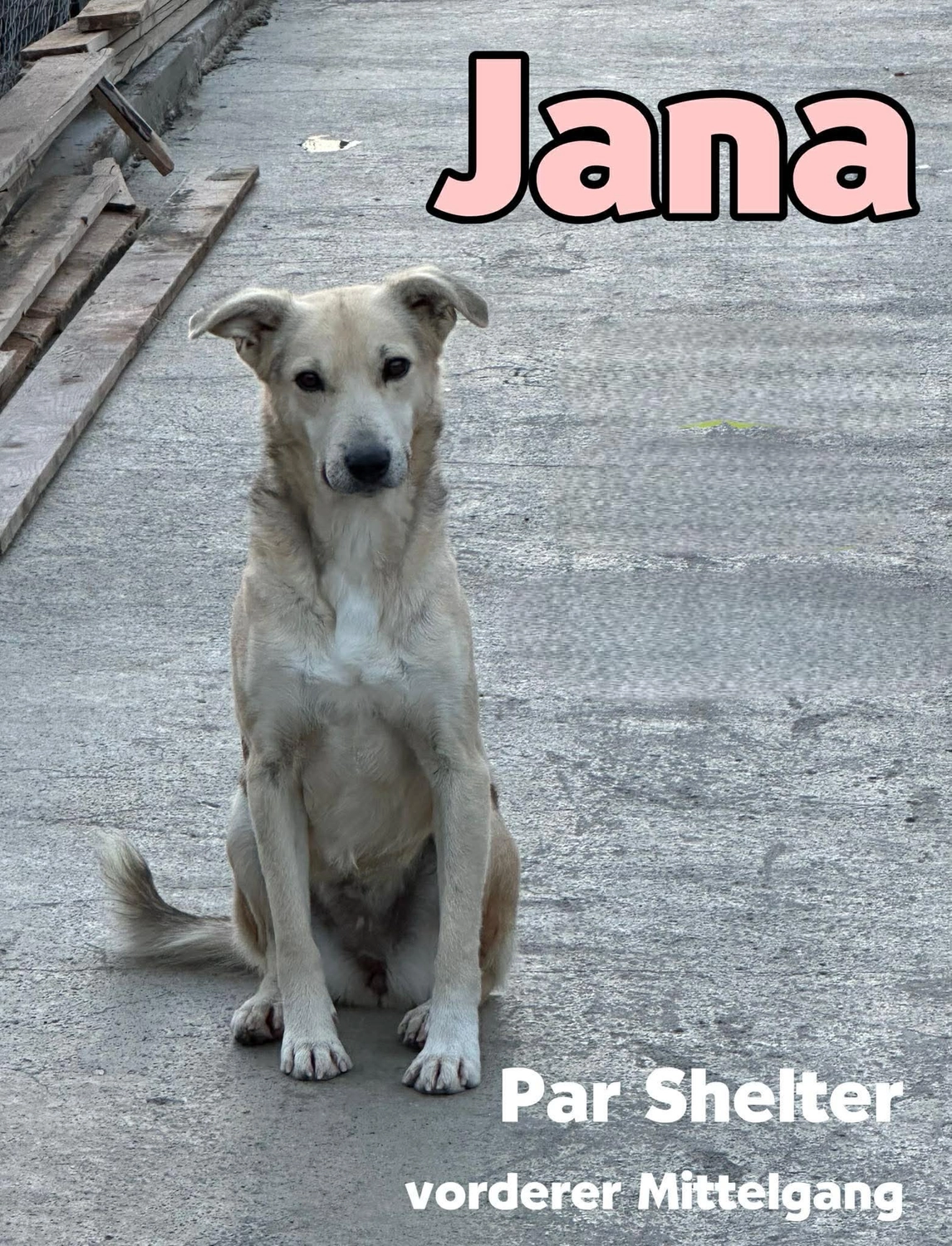 Pro Animals Deutschland e.V. – jana