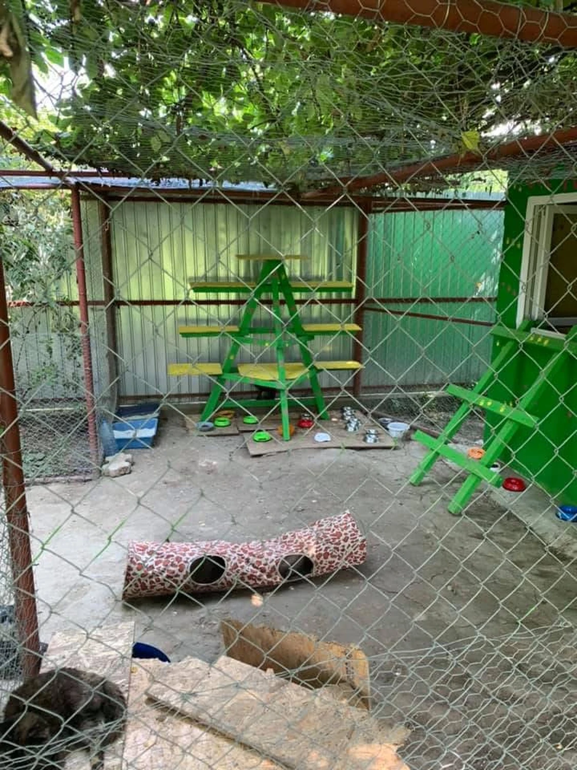Pro Animals Deutschland e.V. – Katzenheim