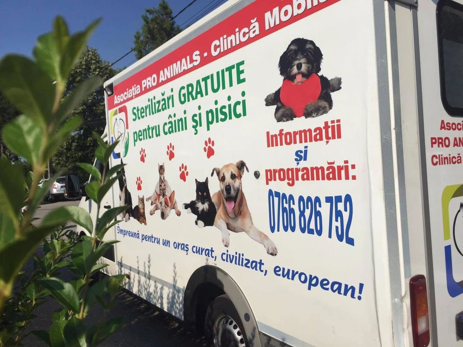 Pro Animals Deutschland e.V. – Behandlung von Hunden