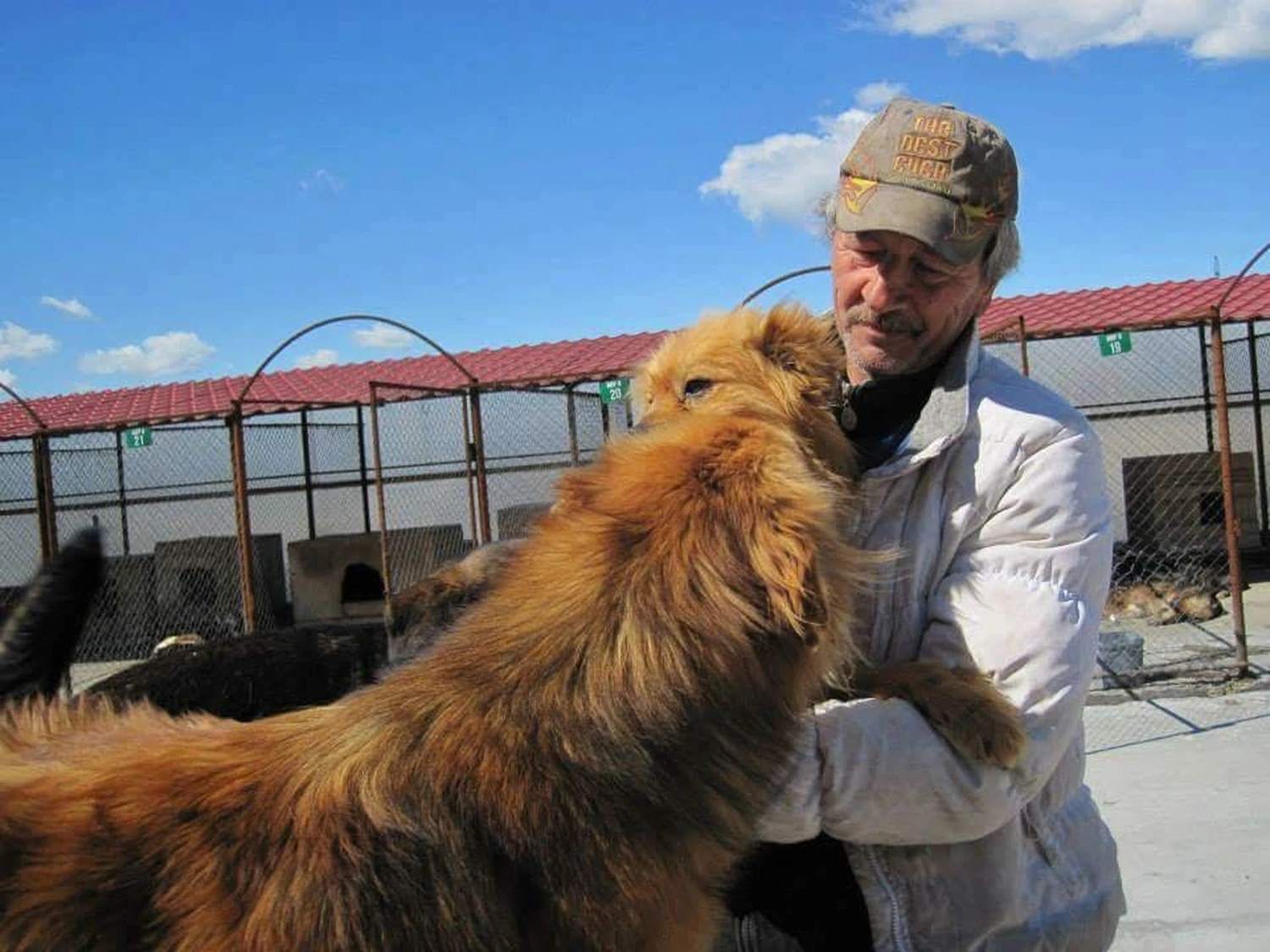 Pro Animals Deutschland e.V. - Stelica