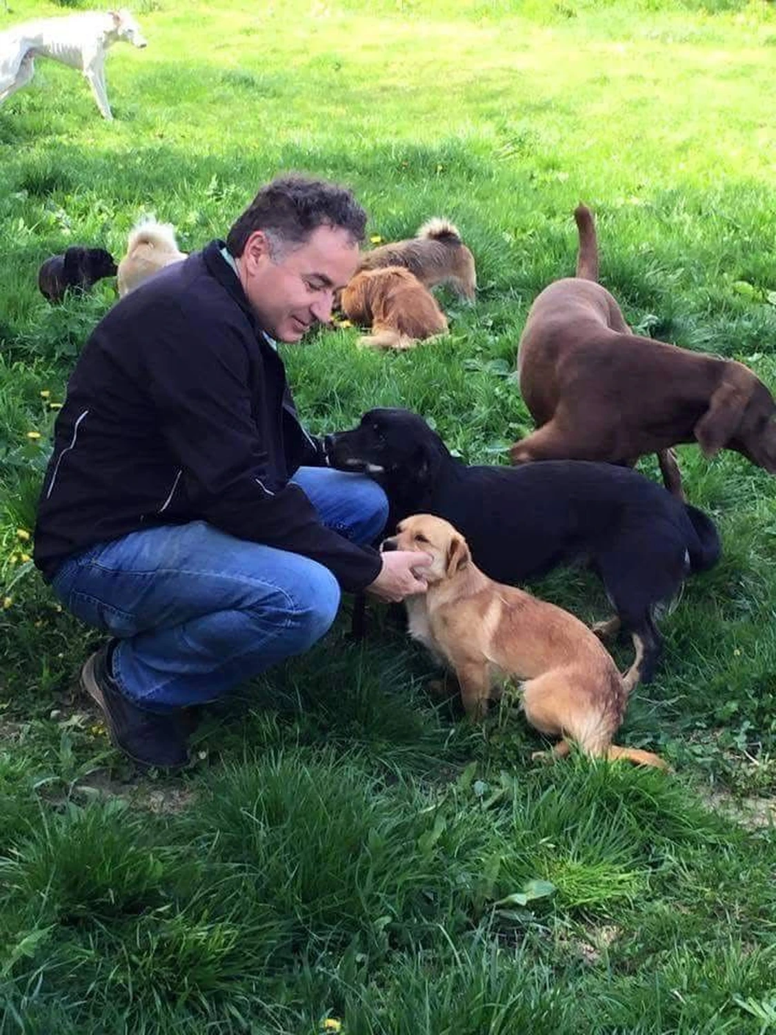 Pro Animals Deutschland e.V. - Sorin Popescu (Carmenas Bruder)