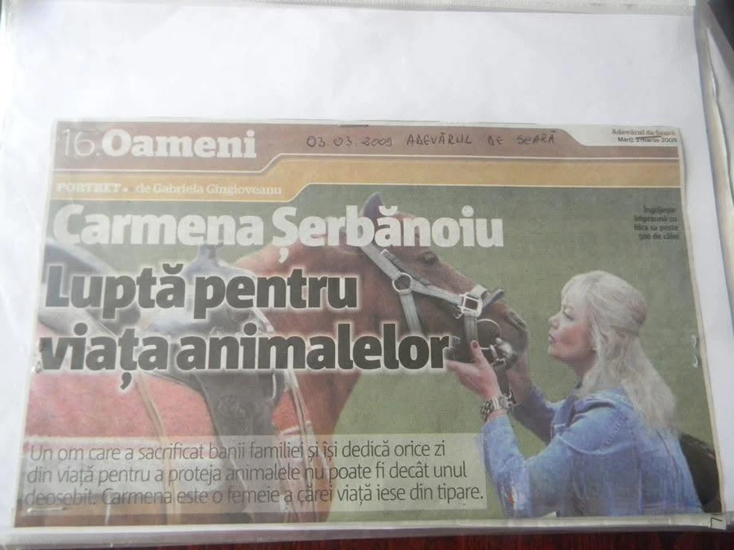 Pro Animals Deutschland e.V. – Pferde