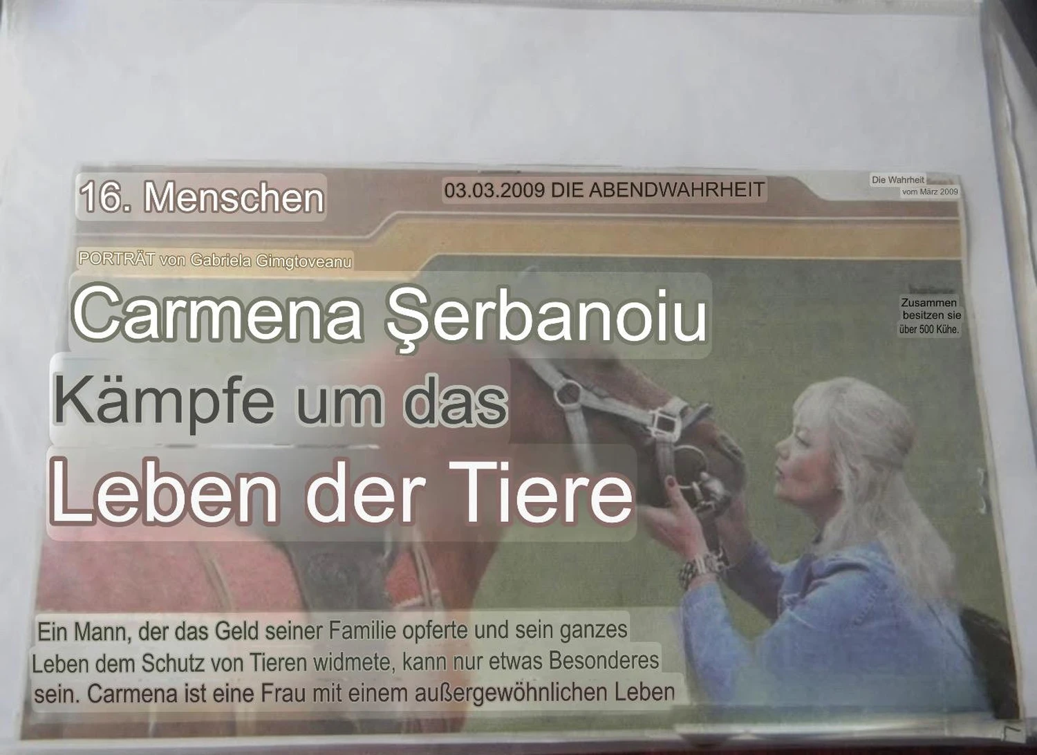 Pro Animals Deutschland e.V. – Flyer zum Thema Pferde