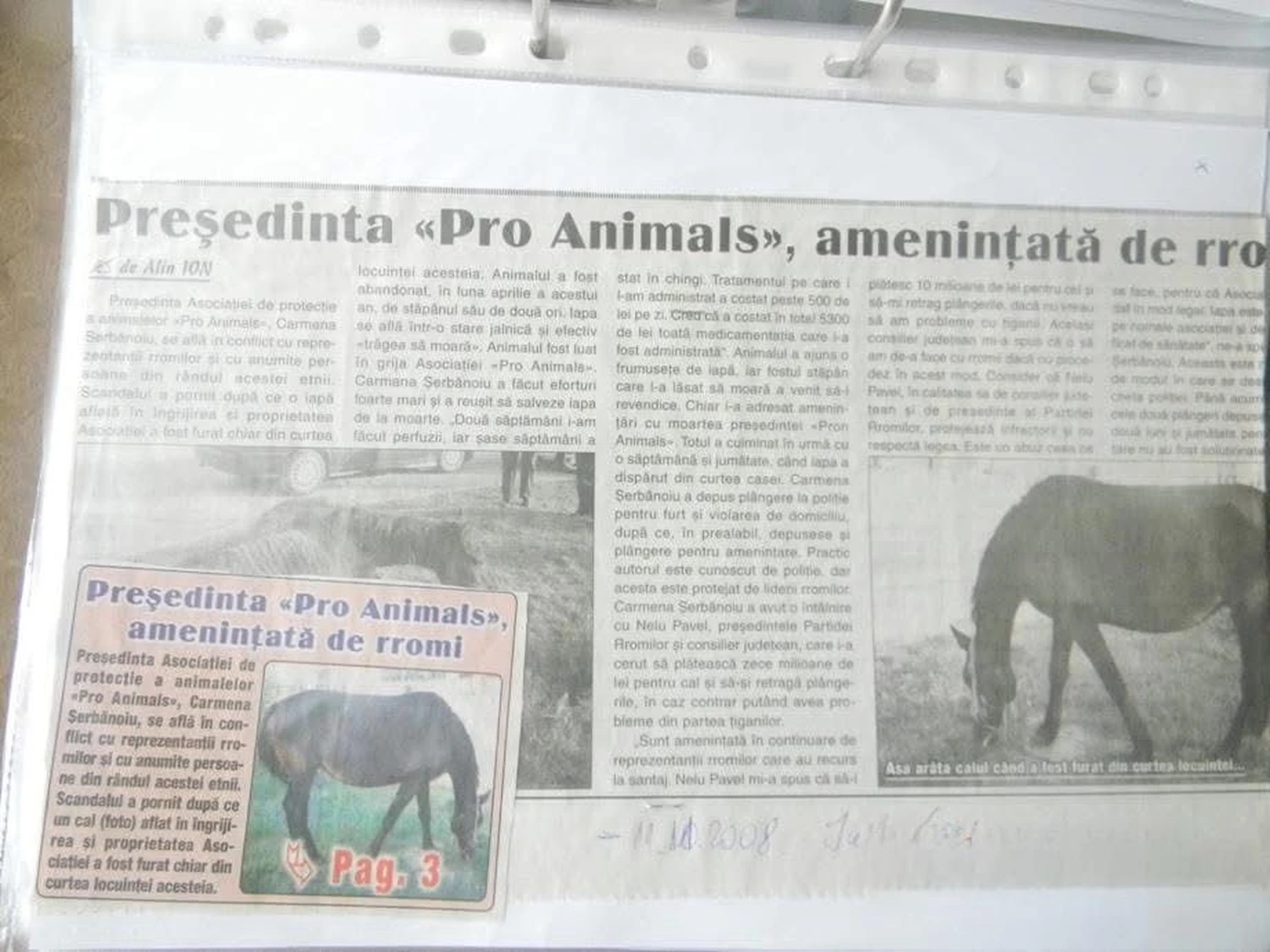 Pro Animals Deutschland e.V. – Flyer