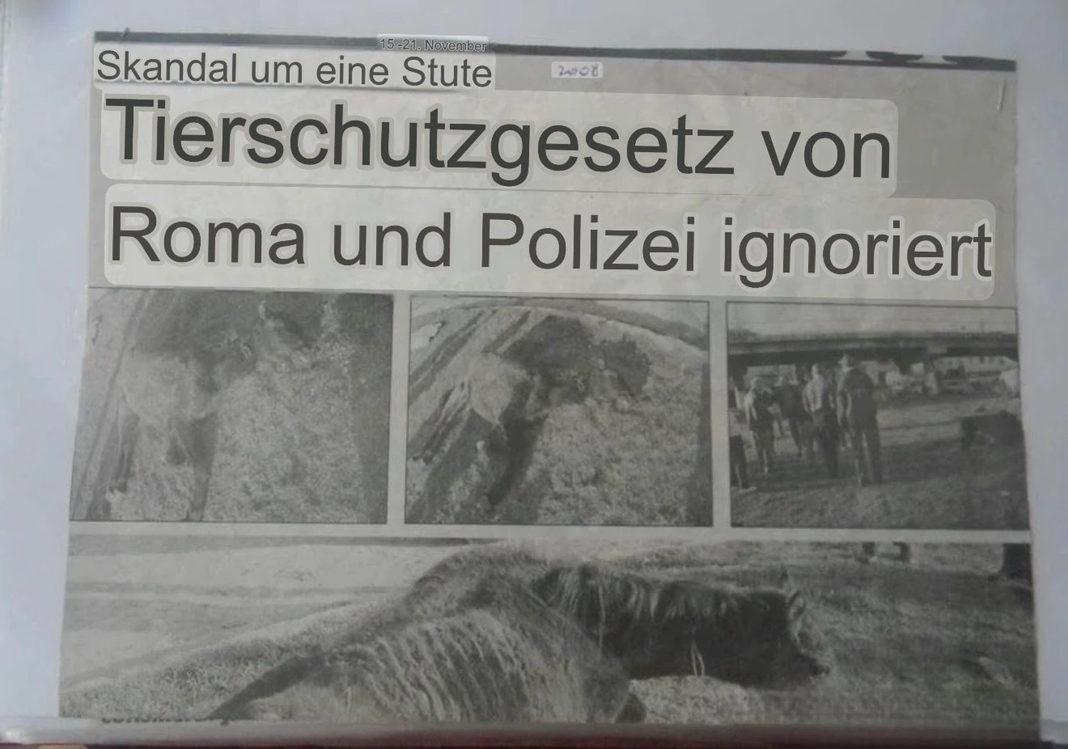 Pro Animals Deutschland e.V. – Flyer