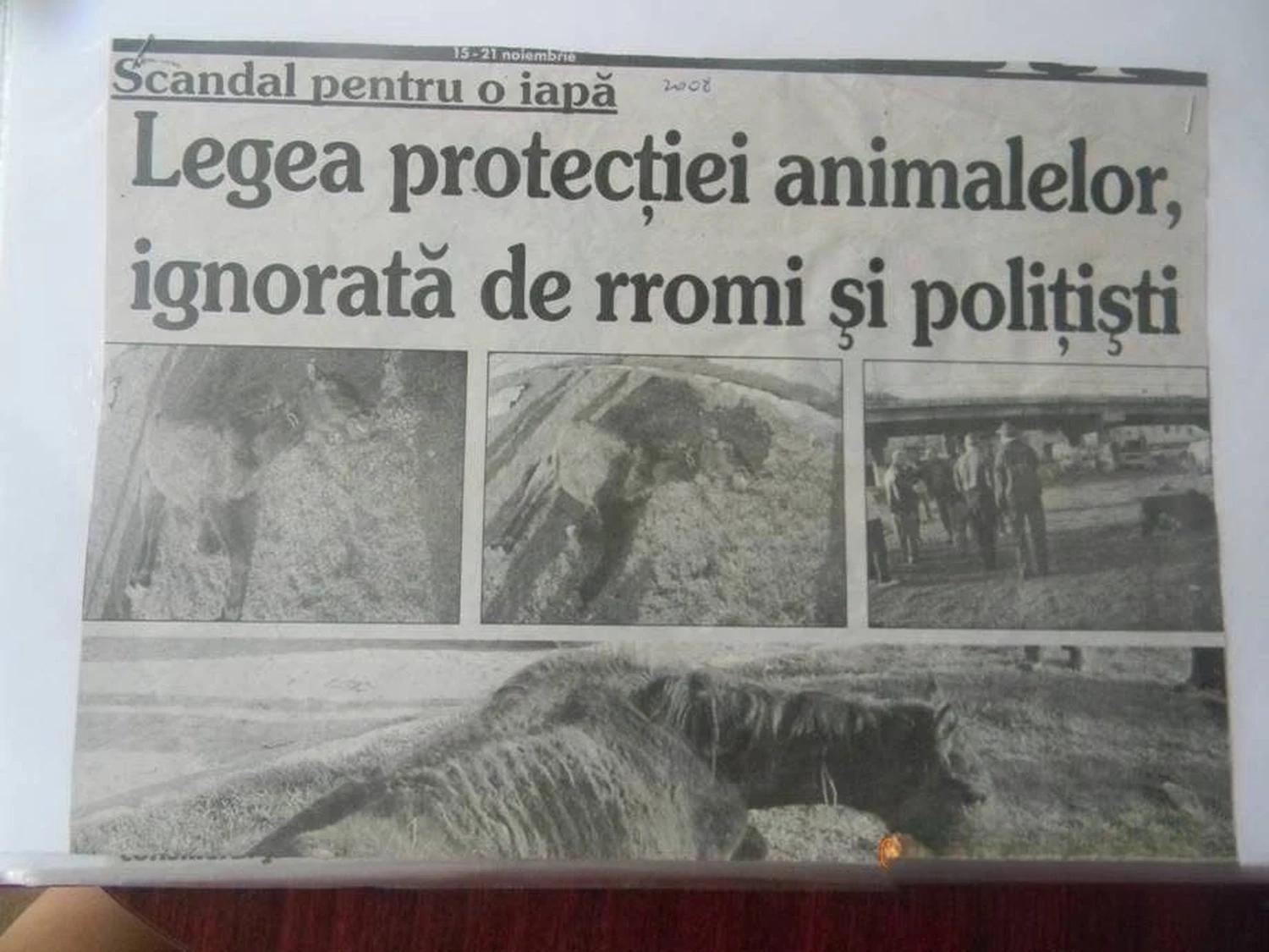 Pro Animals Deutschland e.V. – Flyer