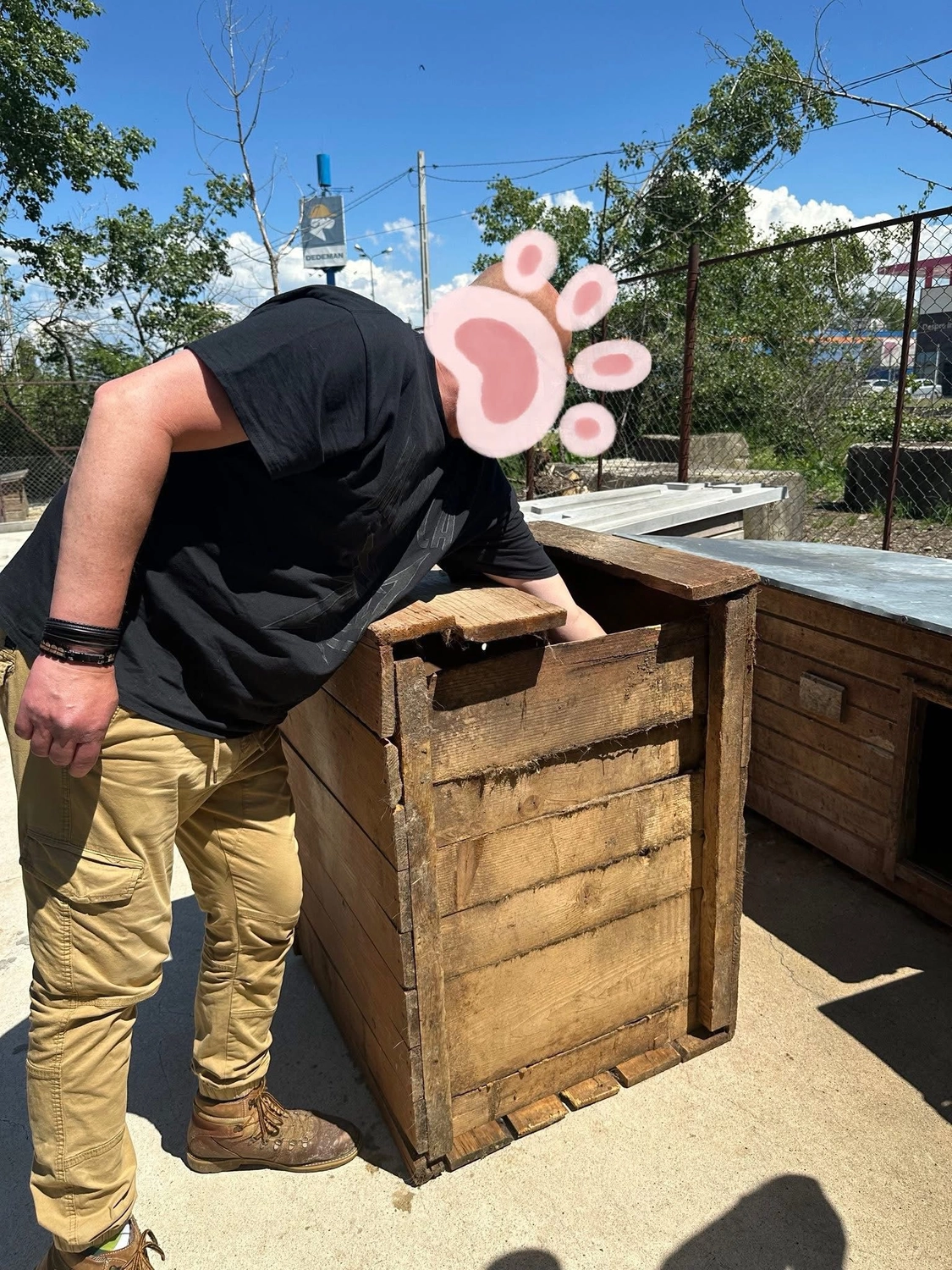 Pro Animals Deutschland e.V. – Tierheim